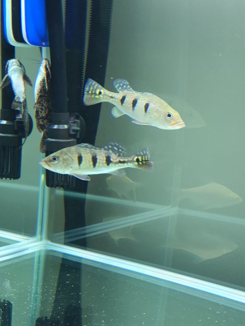 20210503_225319.jpg 20210503_225319.jpg