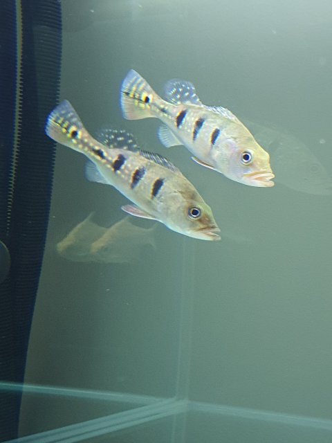 20210503_225340.jpg 20210503_225340.jpg