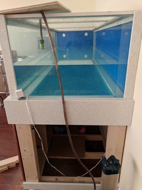 IMG_20180927_084955.jpg IMG_20180927_084955.jpg