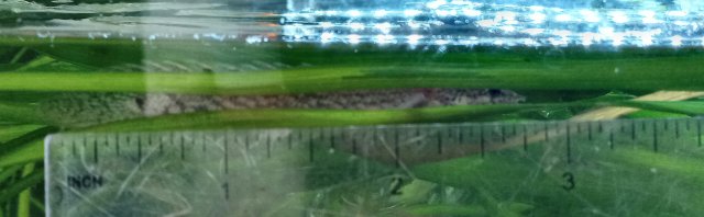 20210506_100920.jpg