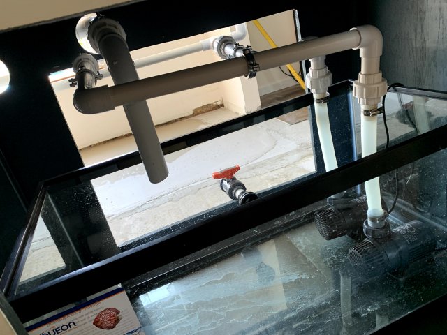 IMG_2132.jpg IMG_2132.jpg