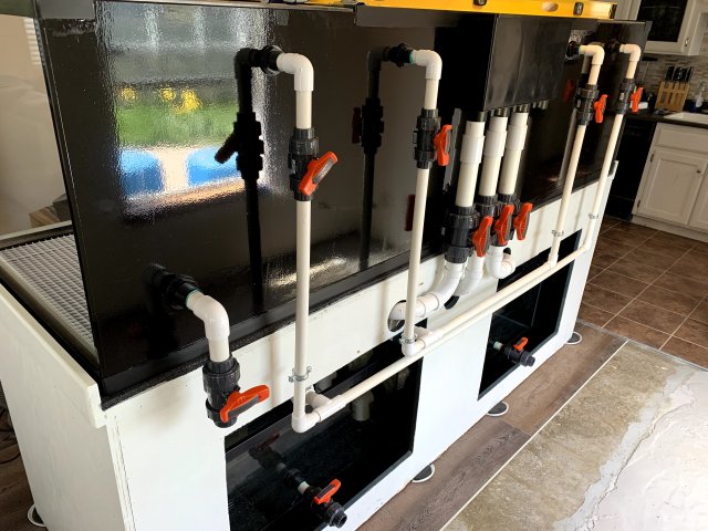 IMG_2134.jpg IMG_2134.jpg