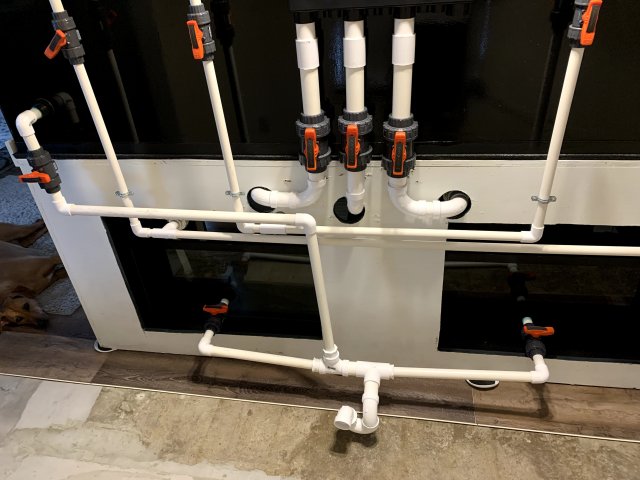 IMG_2136.jpg IMG_2136.jpg