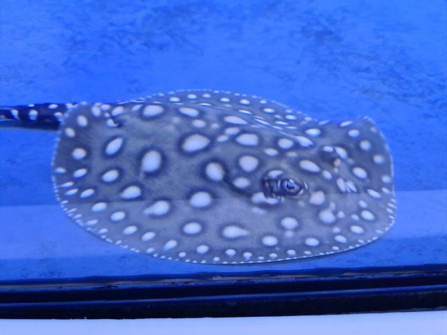 20210509_110711.jpg