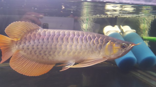 20200919_212336.jpg 20200919_212336.jpg