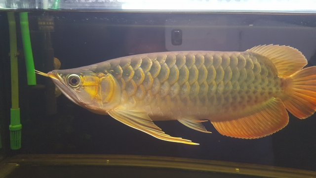 20201203_214007.jpg 20201203_214007.jpg