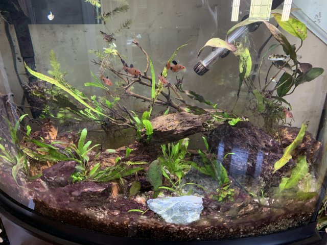 959D6EF8-94DA-44B9-9169-EA42ADD4CA5C.jpeg 959D6EF8-94DA-44B9-9169-EA42ADD4CA5C.jpeg