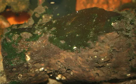 1620741878065.png 1620741878065.png