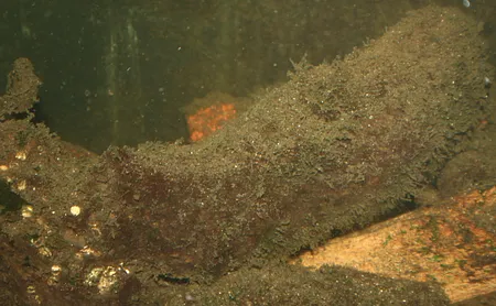 1620742010425.png 1620742010425.png