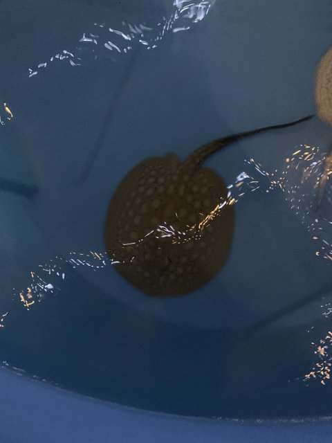DFE89927-FE42-4D01-A8FE-82719F2C8F7B.jpeg