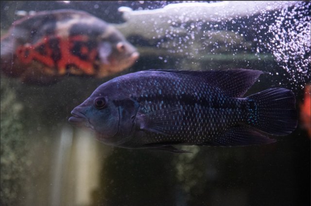 WhatsApp Image 2021-05-08 at 10.08.21 PM.jpeg