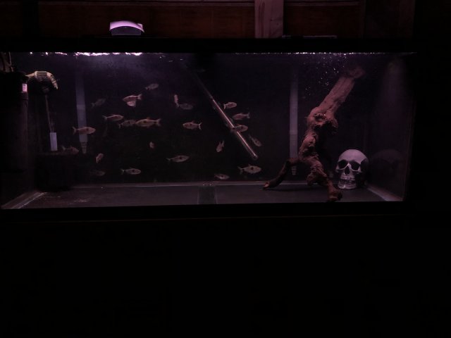 07201B38-F633-4BE2-9BB6-0F93D6D0CB7D.jpeg