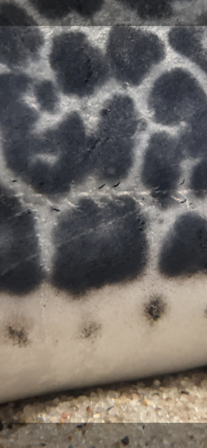 Screenshot_20210513-234237.png Screenshot_20210513-234237.png