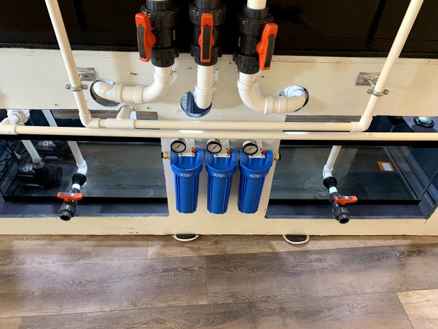 IMG_2150.jpg IMG_2150.jpg