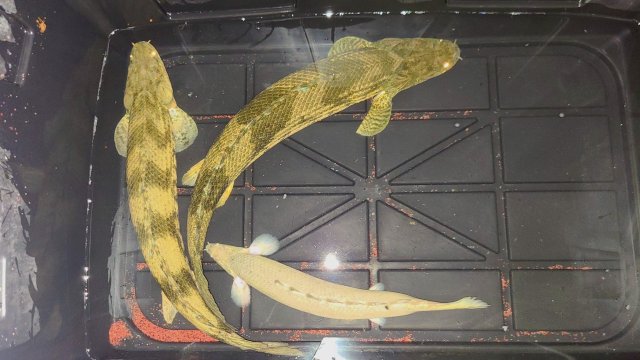 KakaoTalk_20210516_120336048.jpg