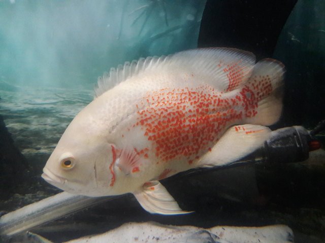 20180113_210702.jpg 20180113_210702.jpg