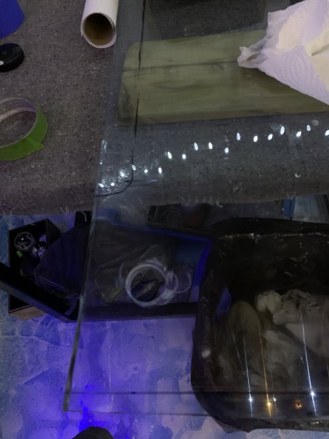 1EAC1E05-FB92-4EC4-9F2D-C22018F89543.jpeg