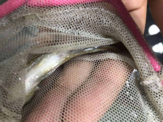D93B2009-F11C-4805-AEDB-9A98A3D1EEF5.jpeg