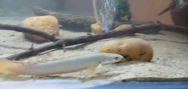20210518_182134_mfnr.jpg