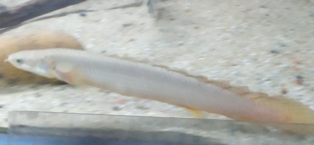 20210518_232050_mfnr.jpg