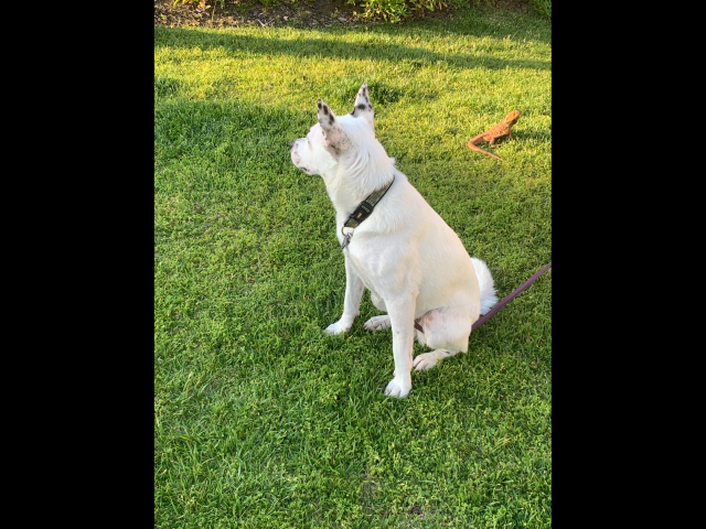 D094062B-3CF7-4B4F-AEFD-FB918BC2879F.png