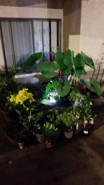 20210429_002249.jpg