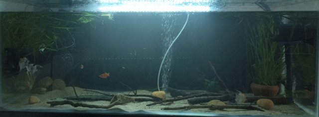 20210525_170335.jpg