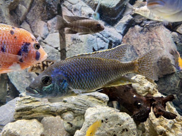 36D27963-00B9-4B26-A1E8-92D3F5B5D3A6.jpeg 36D27963-00B9-4B26-A1E8-92D3F5B5D3A6.jpeg