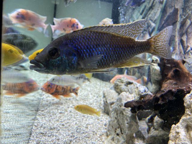 E662A416-622A-4452-B1B4-754C5F062175.jpeg E662A416-622A-4452-B1B4-754C5F062175.jpeg