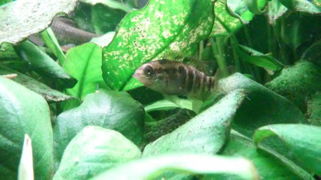 20210529_084643.jpg 20210529_084643.jpg