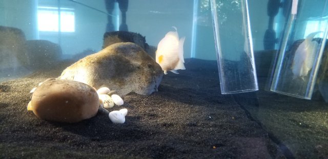 20190629_103046.jpg