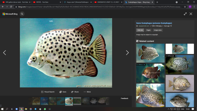 Screenshot (140).png