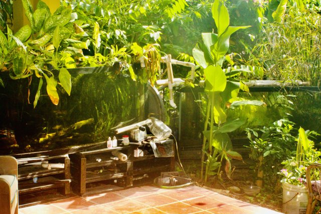 DCDBF189-D440-4AB9-946E-141C126231C5_1_201_a.jpeg DCDBF189-D440-4AB9-946E-141C126231C5_1_201_a.jpeg