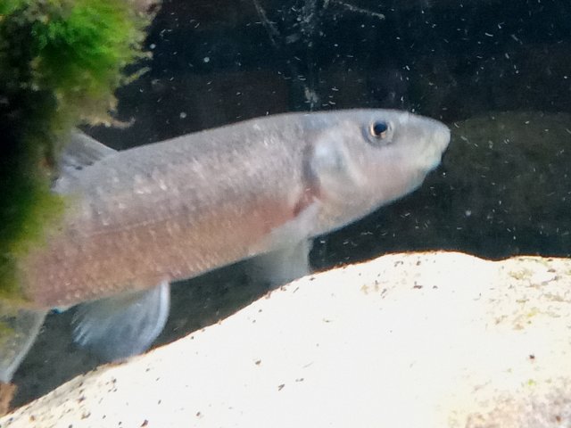 20210609_074538.jpg
