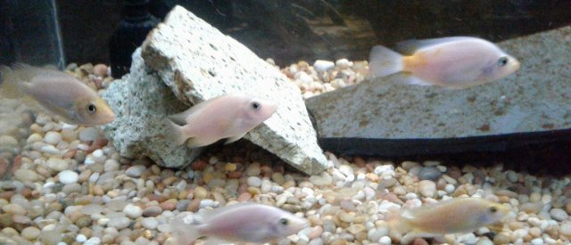 20181006_201100.jpg
