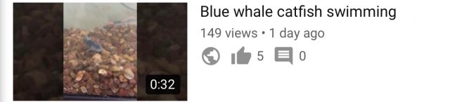 7D0DFFA9-6FF6-4FB7-845B-B481136820C3.jpeg