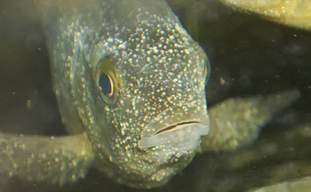 1624010186571.png