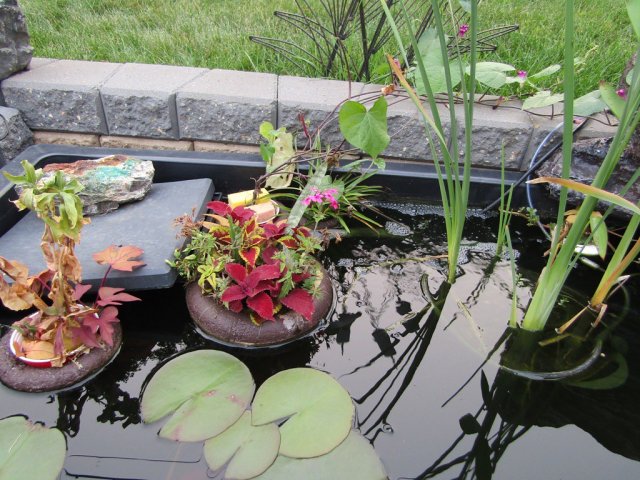 How to make cheap floating 'baskets' for pond plants