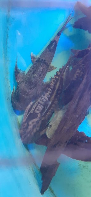 20210521_170543.jpg