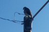 000_3109.JPG