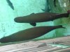 DSC006023333.jpg