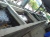 DSC00618999.jpg