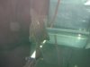 DSC00495.JPG