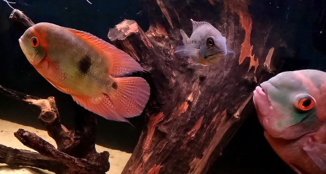 _20210628_185655.JPG