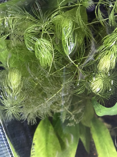 IMG_4827.jpg IMG_4827.jpg