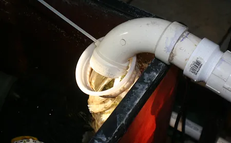 1625587599940.png 1625587599940.png