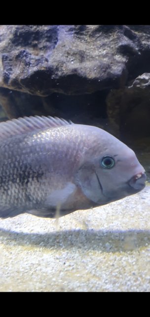 Screenshot_20210706-201004_Video Player.jpg