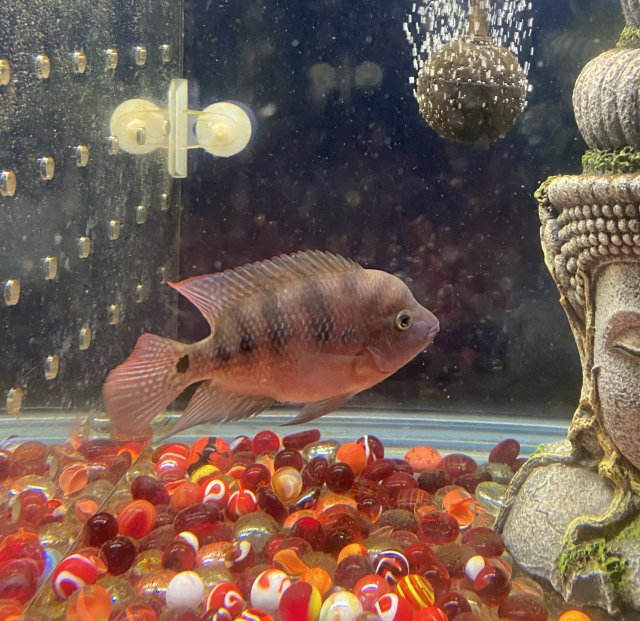 IMG_5055.jpeg IMG_5055.jpeg