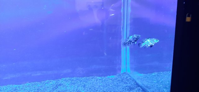20210628_203836.jpg