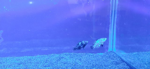 20210628_203834.jpg